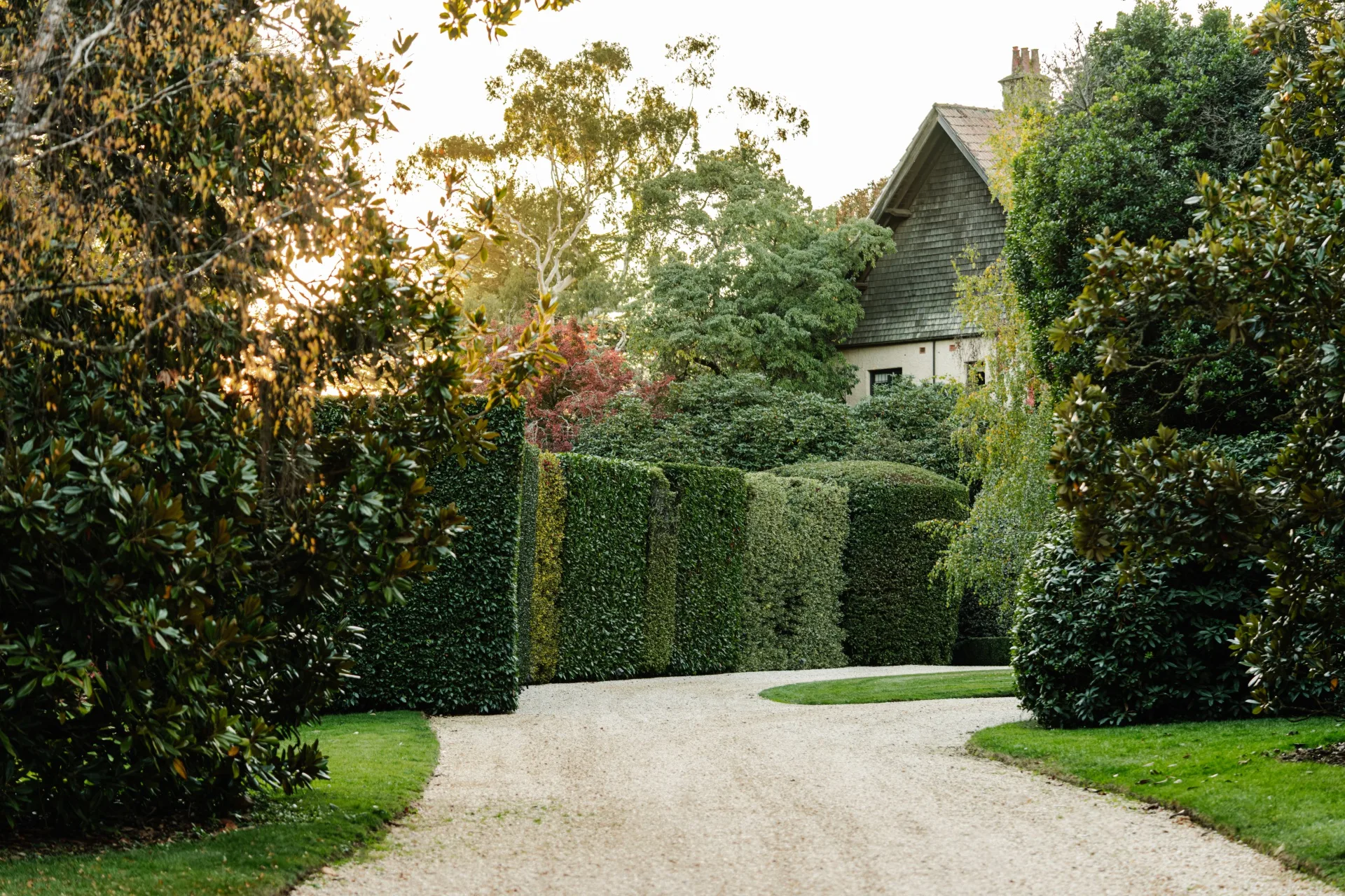 Wombat Park Estate in Daylesford. Arts and Crafts style grand building is just visible over hedges, with a dirt driveway in between.