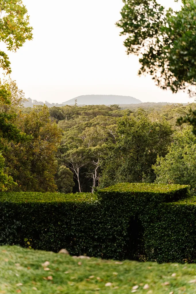 Manicured green hedges are in the foreground, and in the background a forest of treetops is visible, with a mountain just visible in the distance.