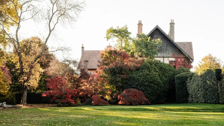 Wombat Park Estate in Daylesford. Arts and Crafts style grand building is just visible over hedges and bushes. From the left side of the photo, the trees and plantings are glorious shades of red, yellow and orange, with evergreen bushes still green on the right hand side.