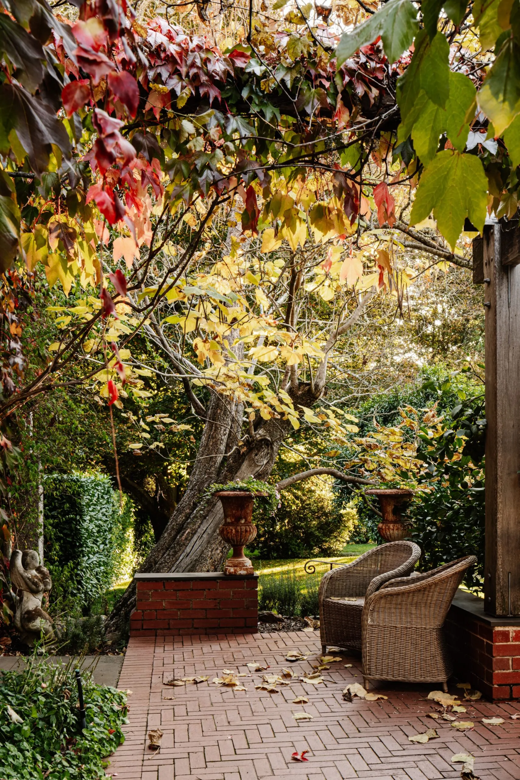Brick patio with wicker chairs, surrounded by vibrant autumn foliage and a large twisting tree.