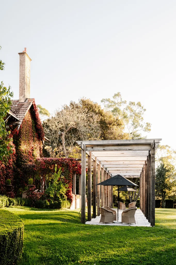 Boston Ivy vine-covered house with chimney, wooden arbour with chairs and umbrellas on a green lawn, surrounded by trees under a clear sky. The ivy is bright red as it is Autumn.
