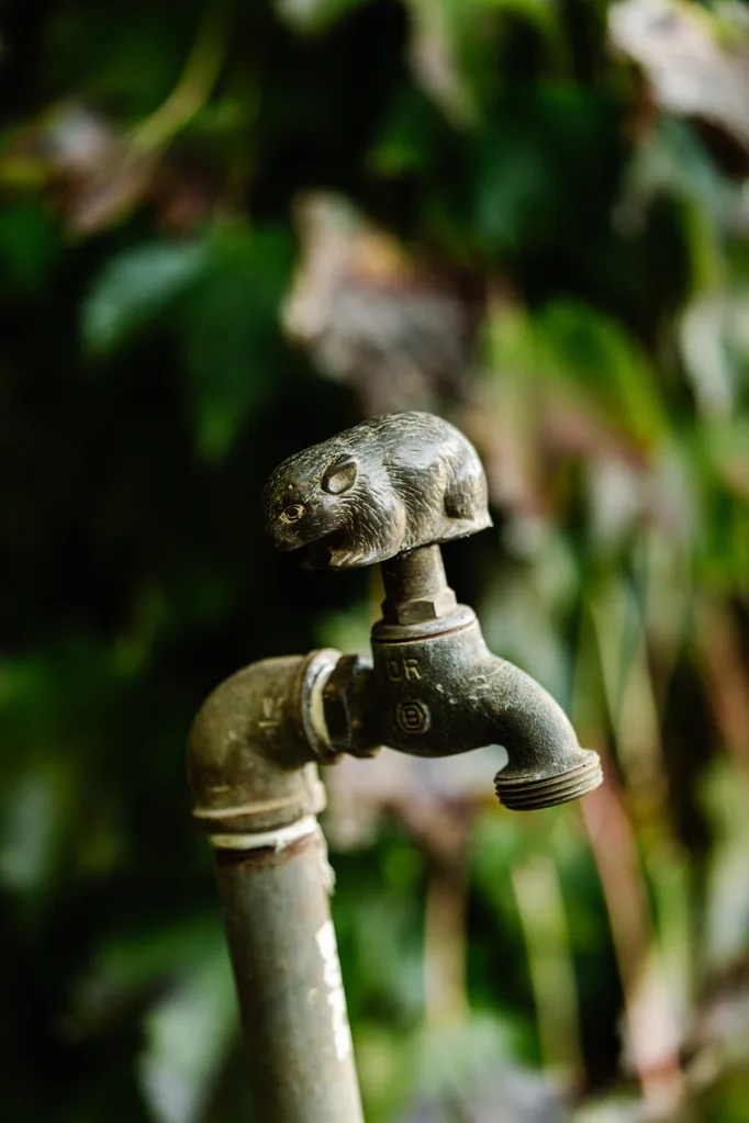 A close up photo of a garden tap, with an adorable statue of a wombat on top of it.