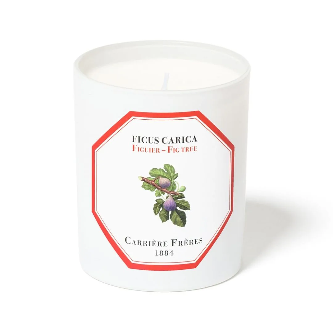 carriere freres fig candle