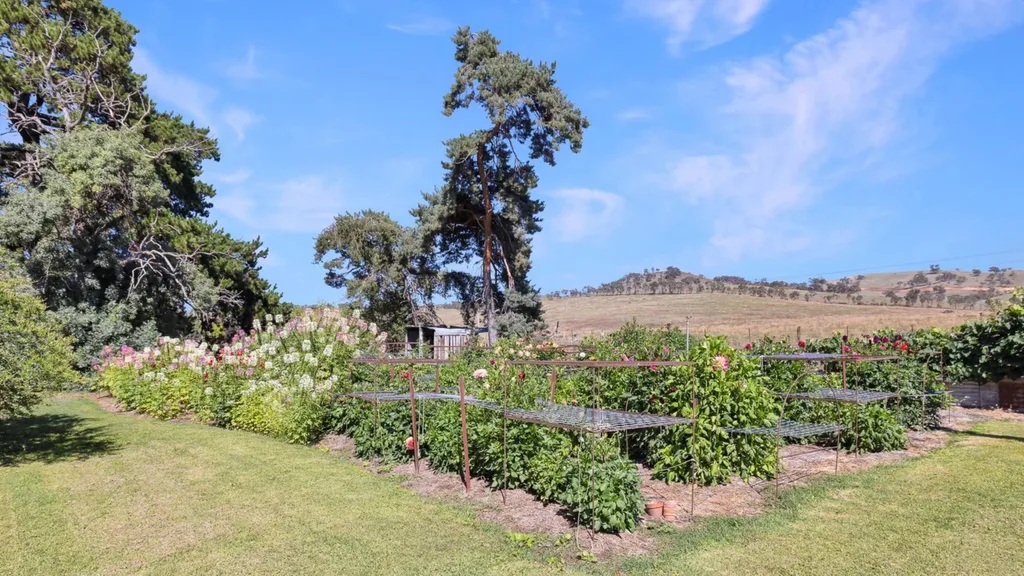 Garden with blooming flowers, tall trees, and distant hills under a blue sky.