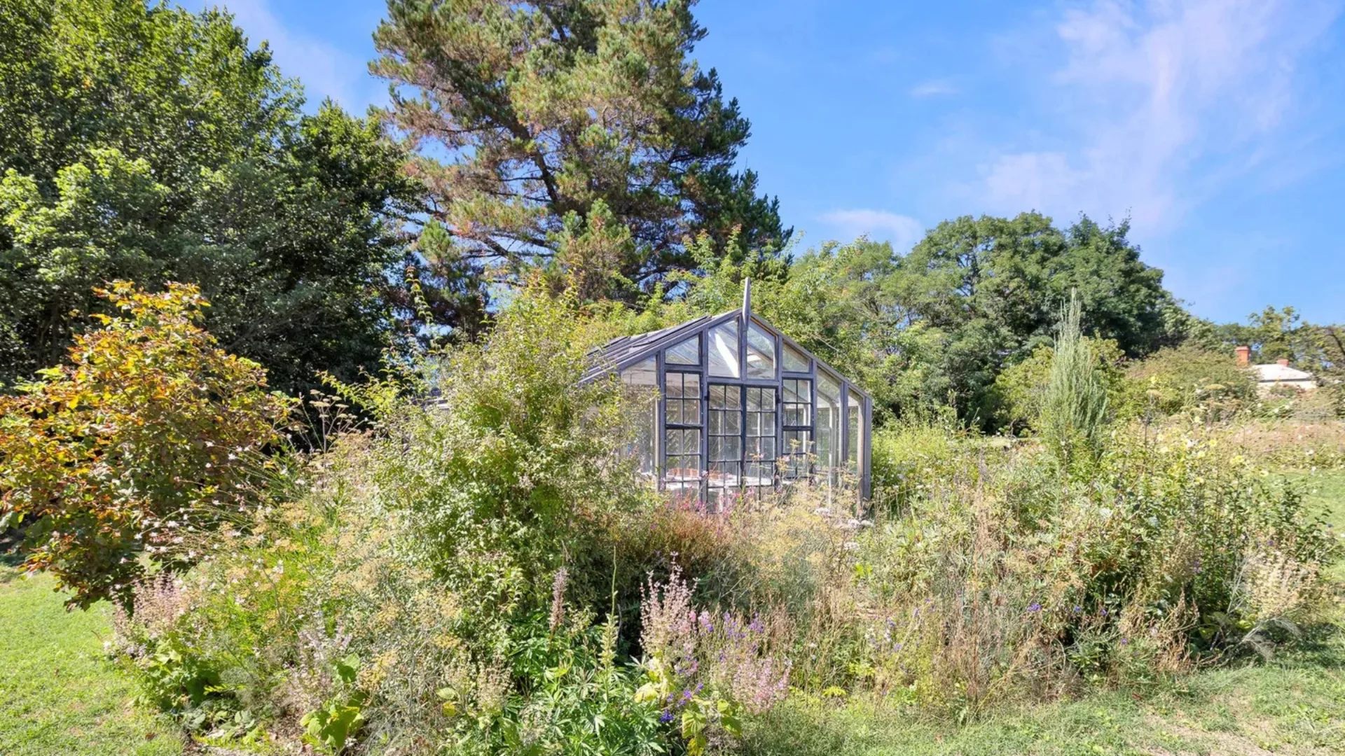 Greenhouse surrounded by lush greenery and colorful wildflowers under a clear blue sky.