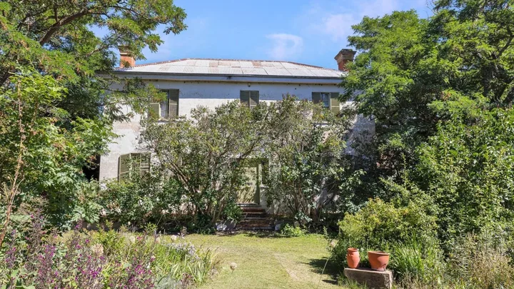 Large white house surrounded by lush green trees and plants, featuring a metal roof and shuttered windows.