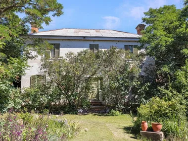 Large white house surrounded by lush green trees and plants, featuring a metal roof and shuttered windows.