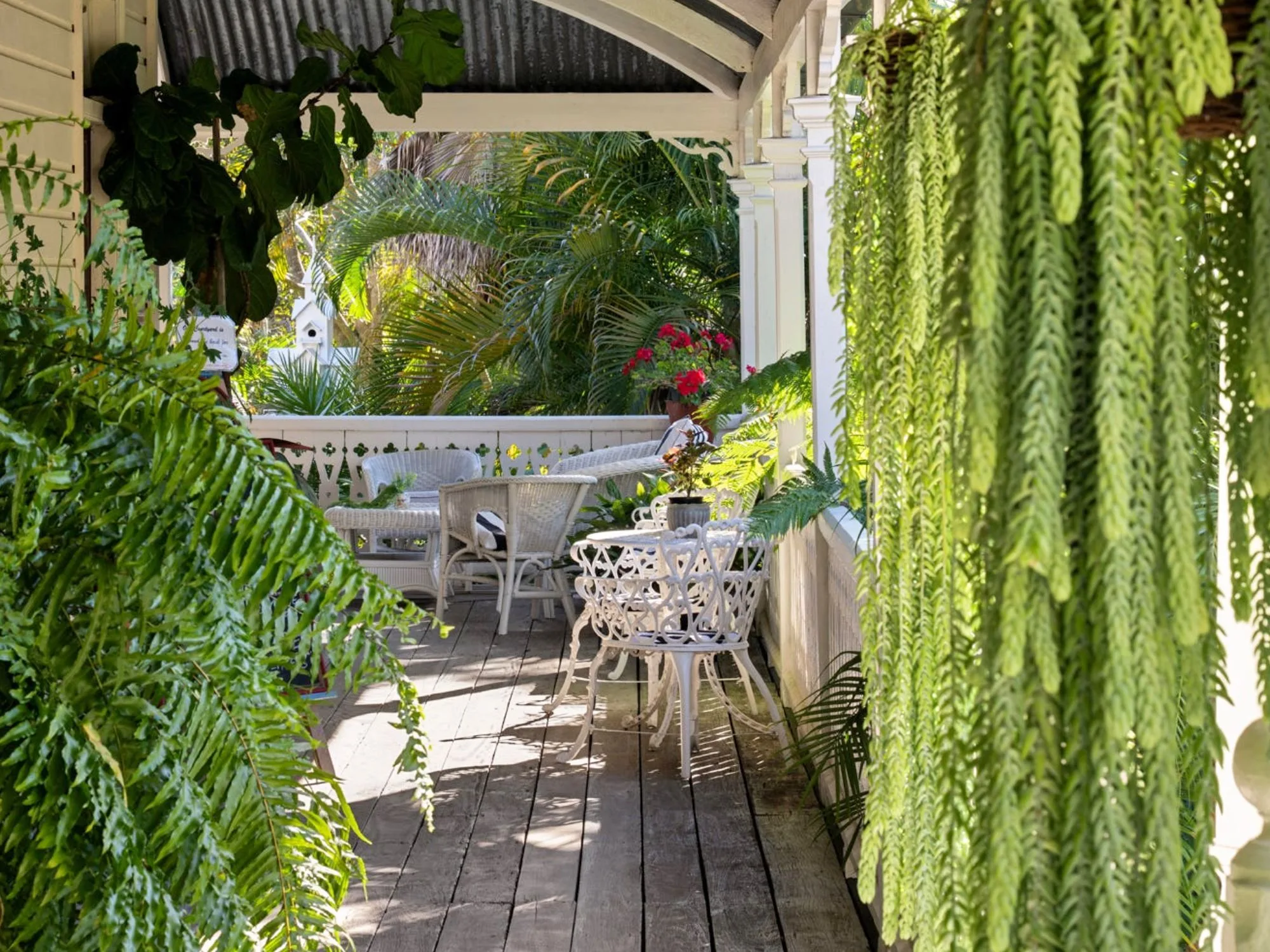wrap around verandah at Queensland's historic Brooklyn home in Howard