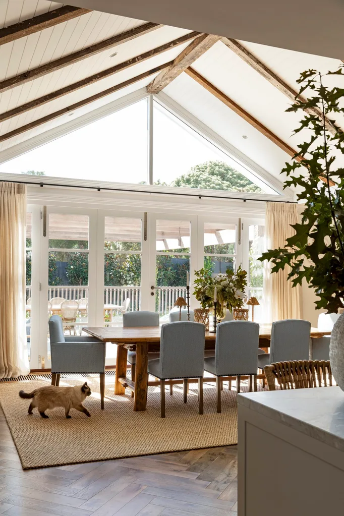 A bright dining room with large windows, exposed wooden beams on the white vaulted ceiling, a dining table with blue upholstered dining chairs, and a cat walking on a sisal rug.