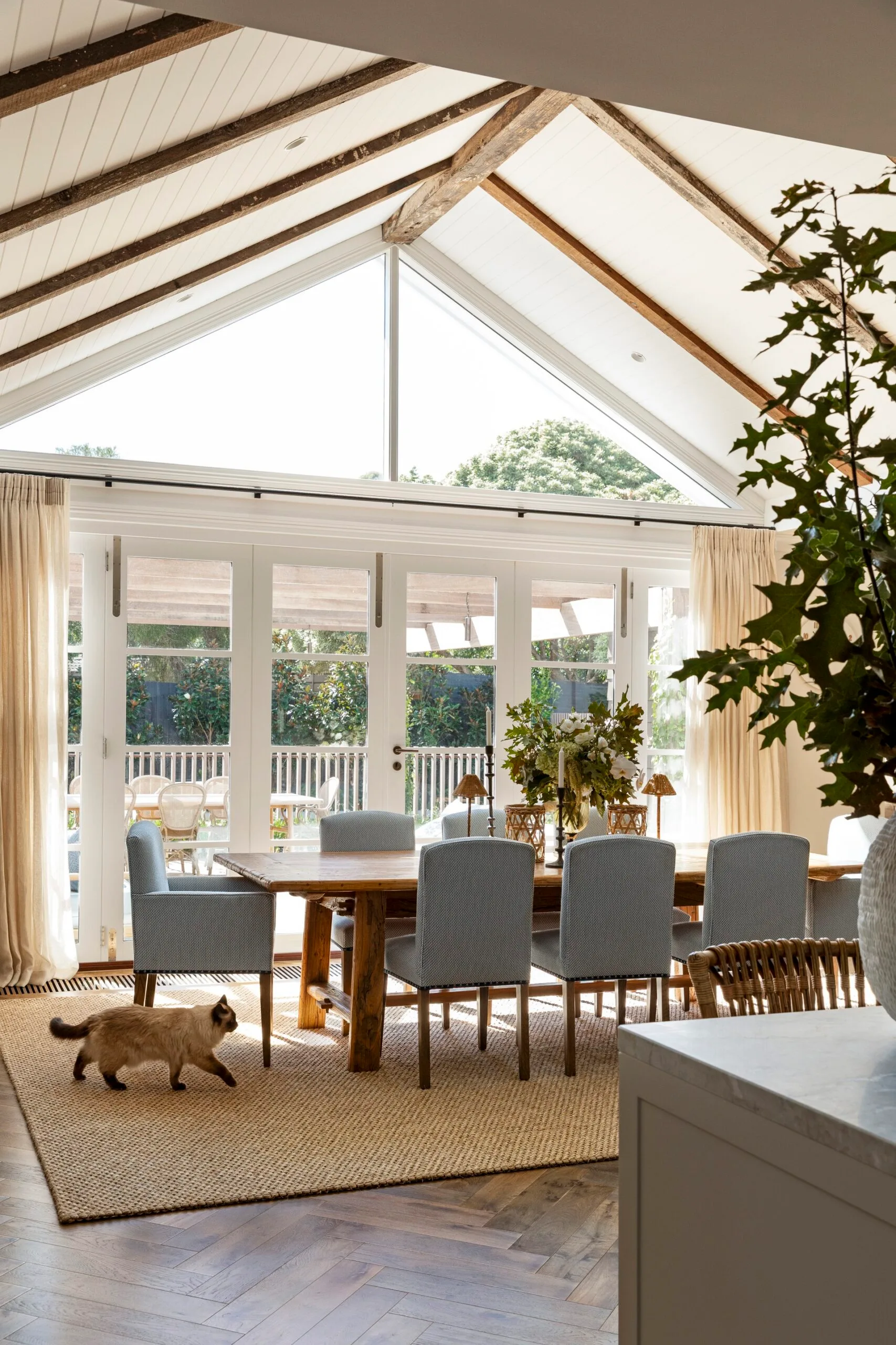 A bright dining room with large windows, exposed wooden beams on the white vaulted ceiling, a dining table with blue upholstered dining chairs, and a cat walking on a sisal rug.