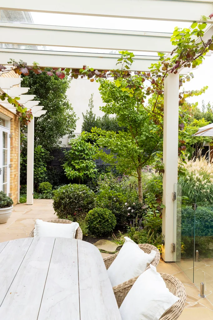 Alfresco dining area with a white wooden table, wicker chairs, and a garden with lush greenery under a pergola that has crimson glory vine growing on it.