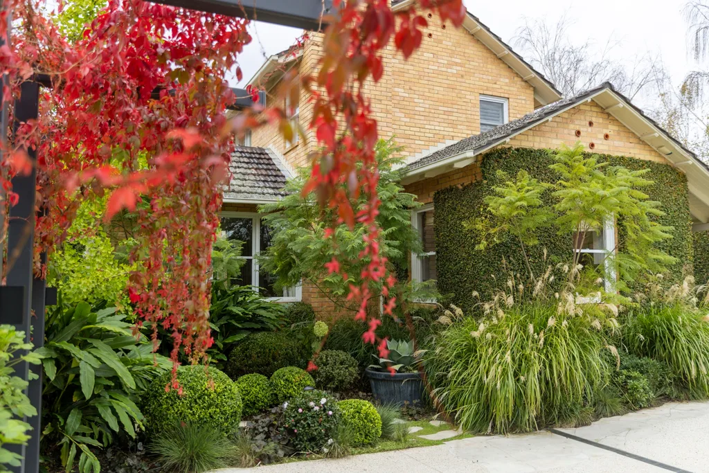Charming brick house with lush greenery and vibrant red leaves in the garden. The red leaves are crimson glory vine, which is spilling off black posts in the foreground of the image.