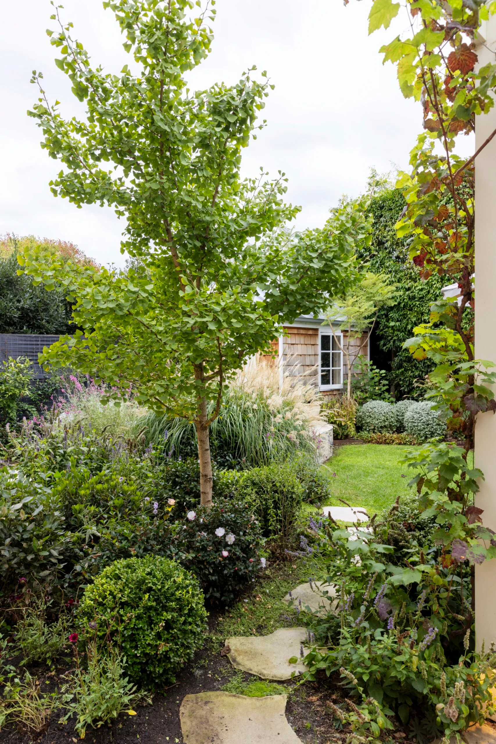 Lush garden with a stone path leading to a small wooden shed, surrounded by vibrant greenery and blooming flowers. Crimson glory vine is growing on a white post, to the right of the image.