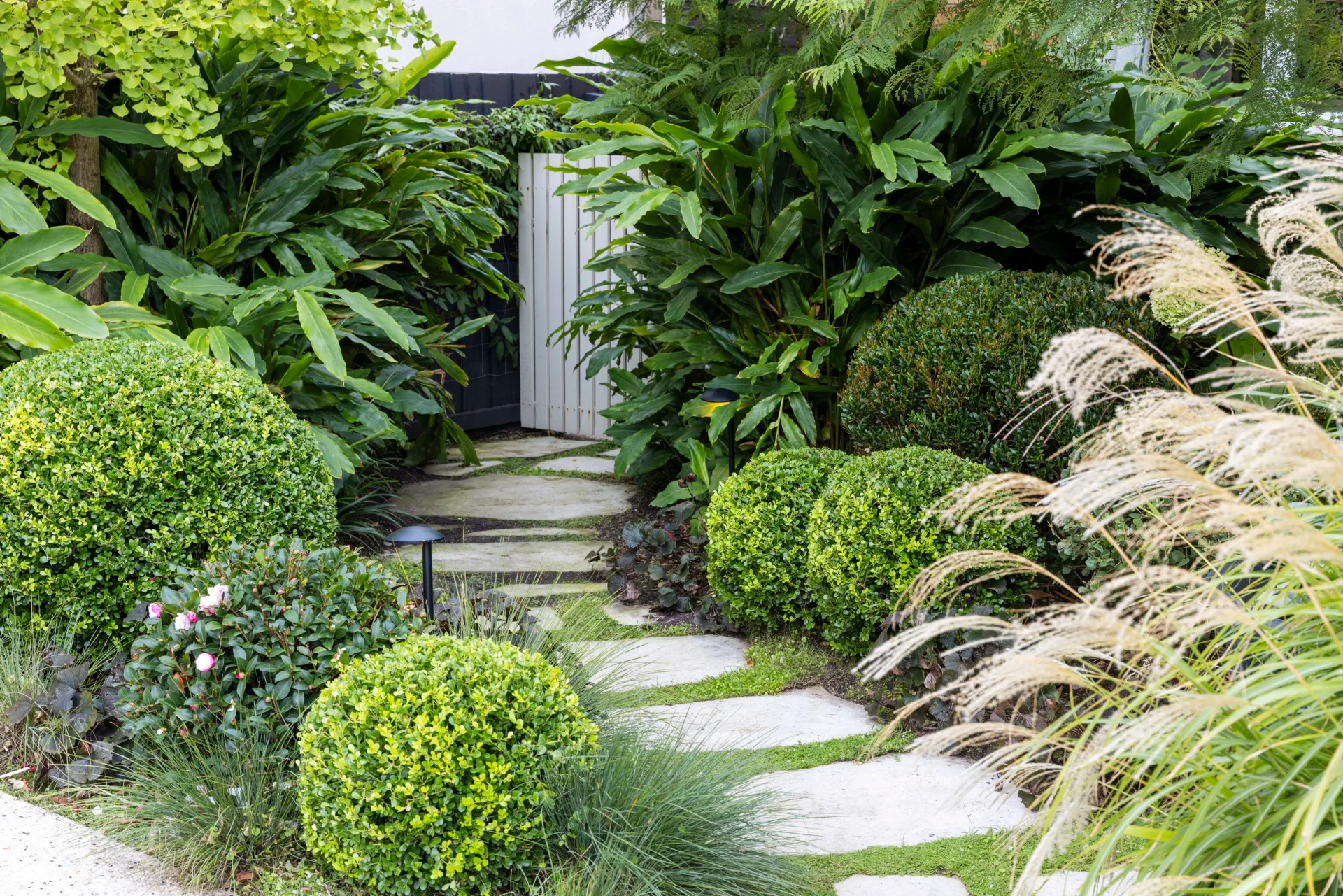 Lush garden path lined with dense green shrubs and ornamental grasses leading to a wooden gate.