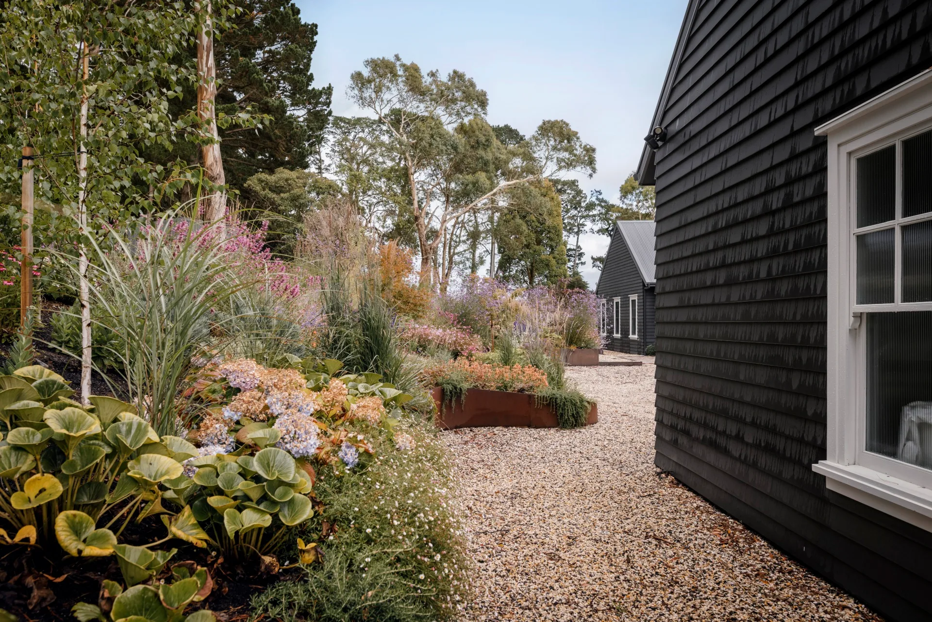 Lush garden with colorful flowers and greenery beside a modern black wooden house under a clear blue sky.