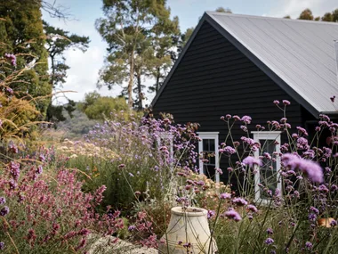 Cottage-style garden with purple flowers and a black wooden house in the background.