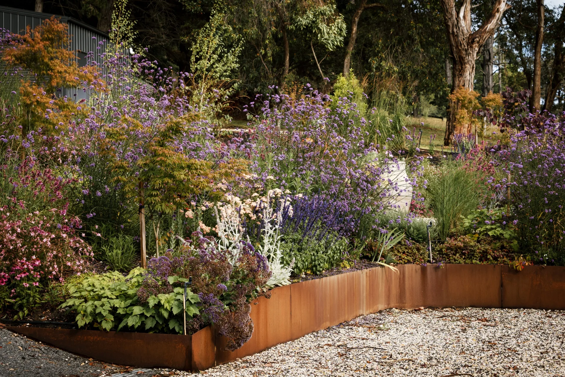 Lush garden with diverse purple and pink flowers, surrounded by trees and a gravel path nearby.