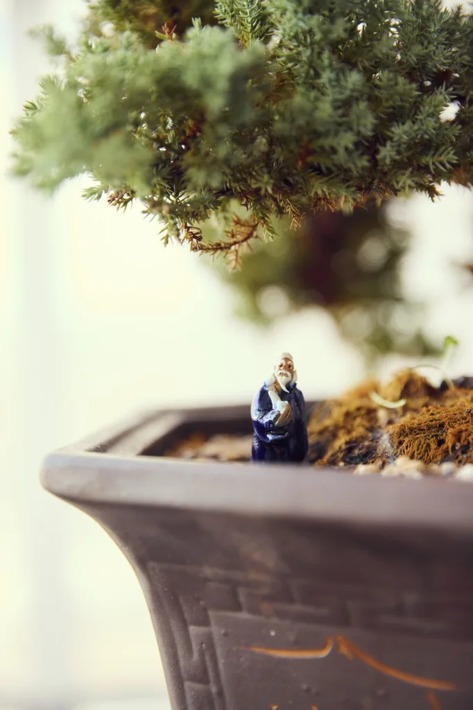 A close up photo of a ceramic figurine positioned atop the soil in a potted bonsai plant.