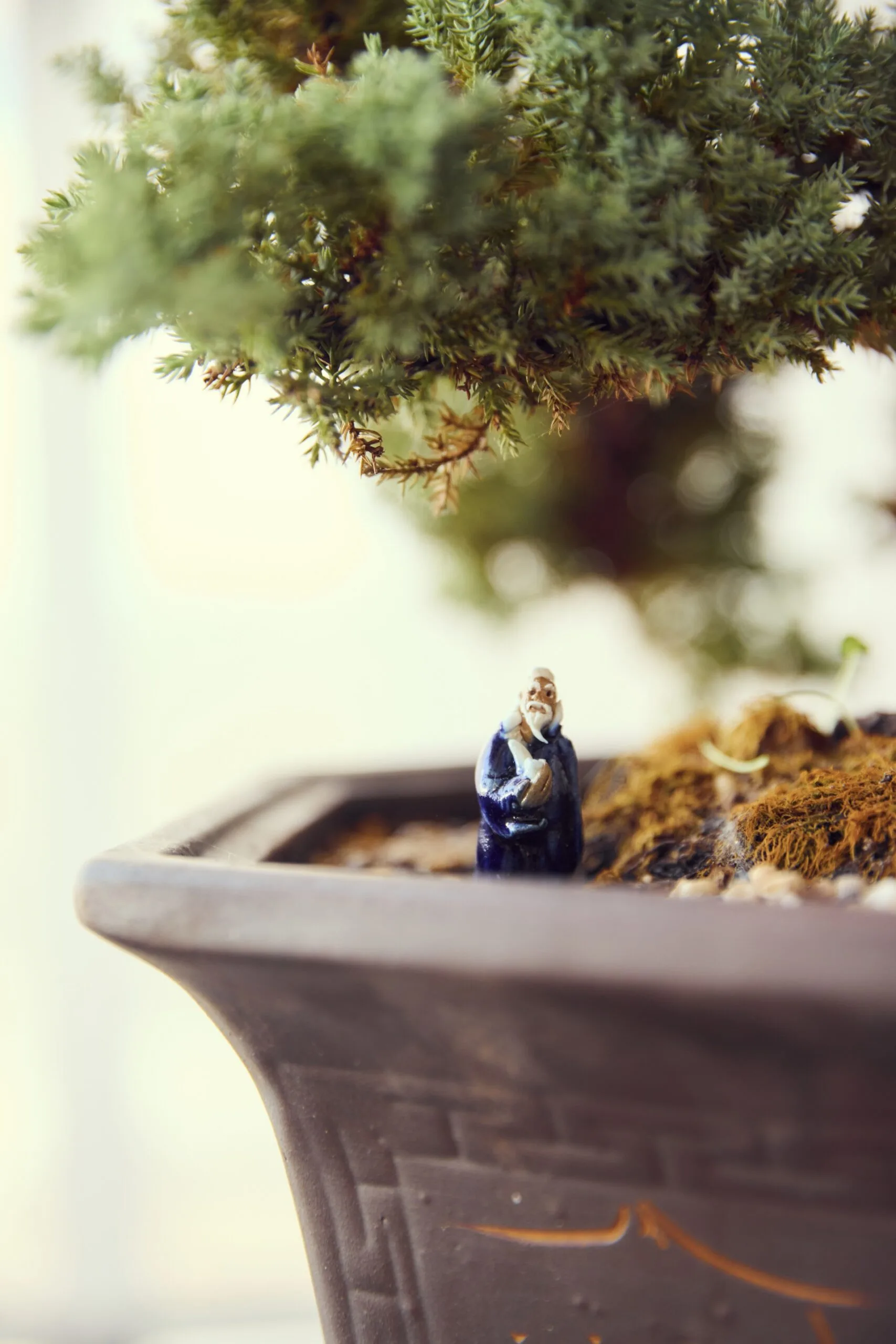 A close up photo of a ceramic figurine positioned atop the soil in a potted bonsai plant.