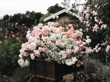 A vintage cart or wheelbarrow filled with pink and white roses, as well as other pink and white flowers, flowers in a lush garden setting.