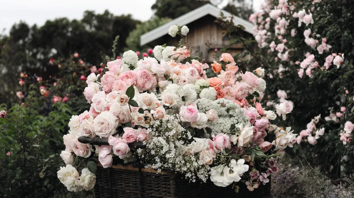 A vintage cart or wheelbarrow filled with pink and white roses, as well as other pink and white flowers, flowers in a lush garden setting.
