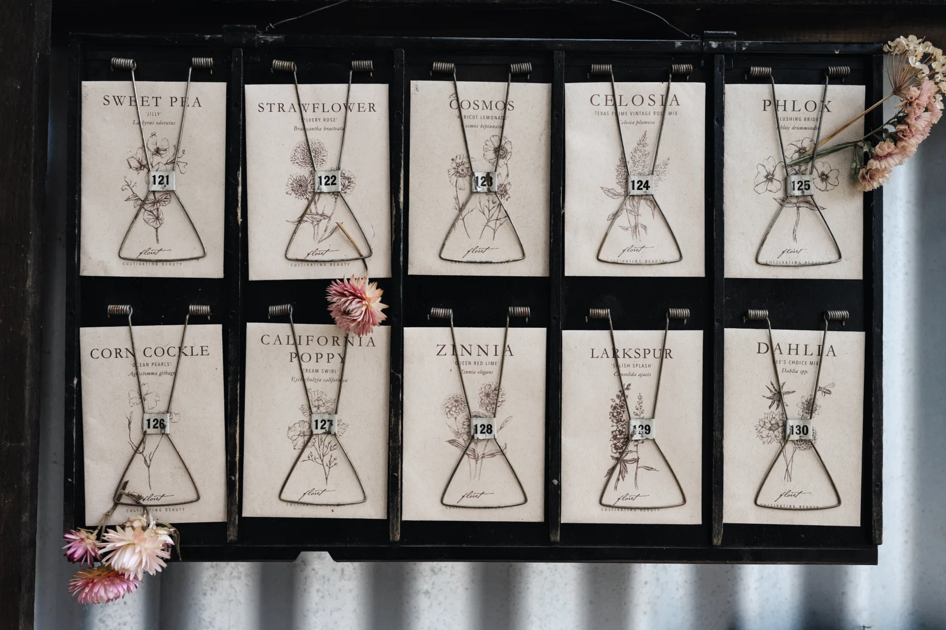 Seed packets arranged in rows with vintage drawings and metal holders, featuring various flower names like Sweet Pea and Dahlia. A few small flowers are pinned to the packets as additional decoration.