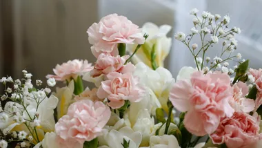 LVLY discount code: Shop with Home Beautiful's tested and active codes and deals for LVLY flowers and gifts.