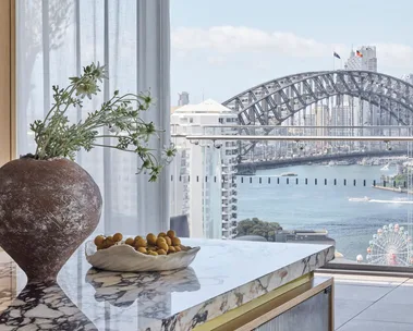 Lisa Santamaria interior design renovation on Lavender Bay apartment owned by Dianne harbour views