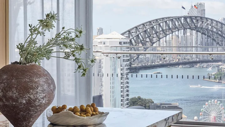Lisa Santamaria interior design renovation on Lavender Bay apartment owned by Dianne harbour views