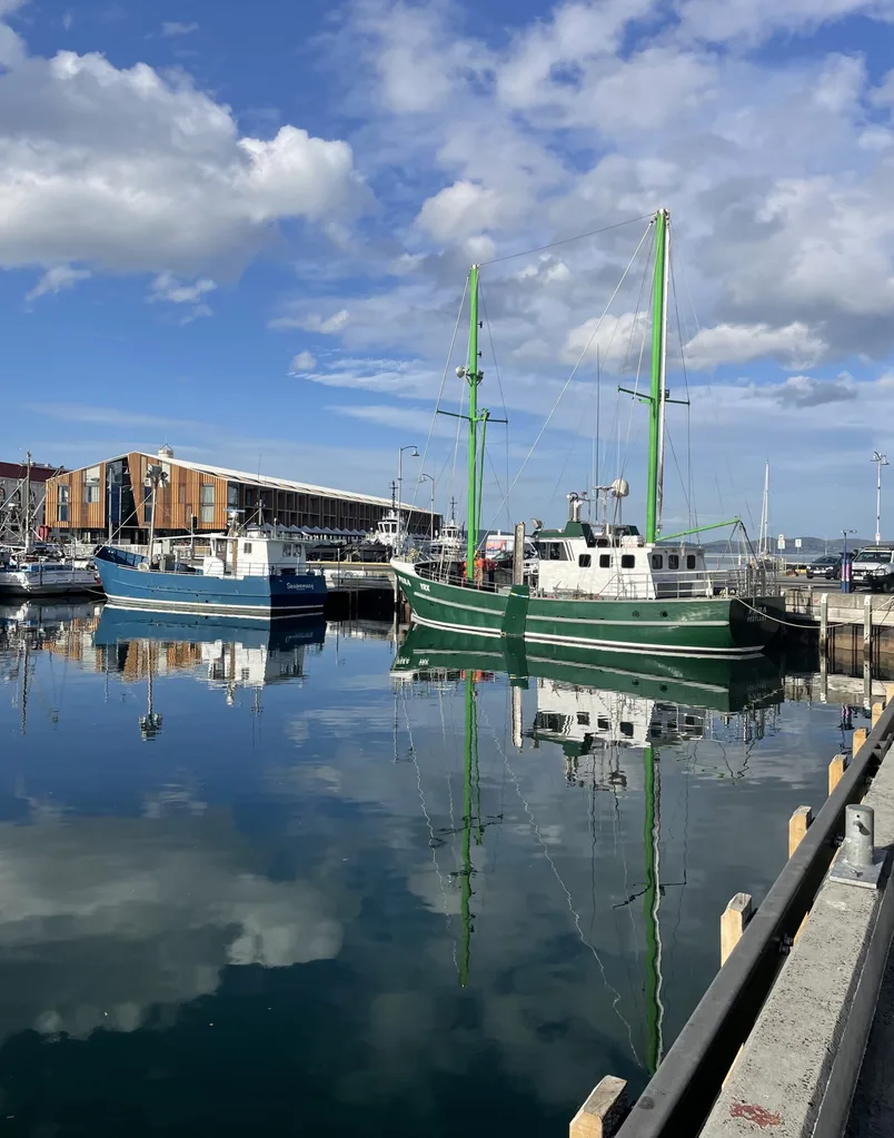 Hobart water view