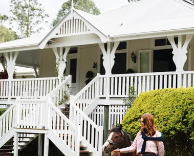 Rosewood Farm Queenslander horse exterior