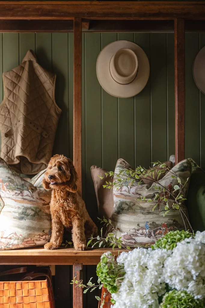 Rosewood Farm Queenslander mudroom dog