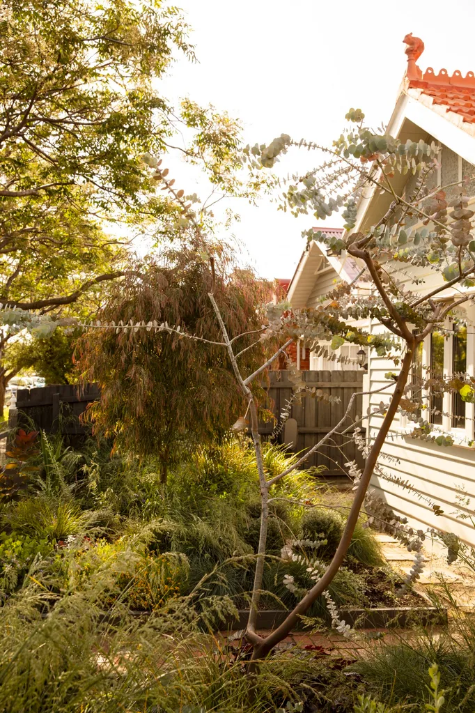 The front garden of a grey coloured cottage. The front of the cottage is visible to the right, while the rest of the photo focuses on the brick and gravel pathway connecting different garden beds that are filled with foliage.