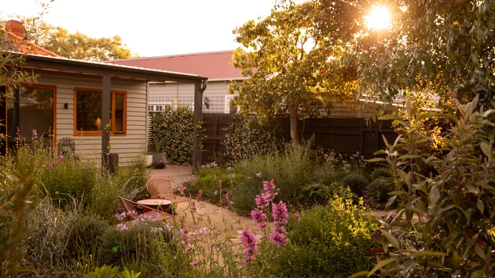 Sunlight softly filteres through a tree, casting the backyard of this cottage in a golden glow. The cottage garden features winding gravel and brick paths, two red outdoor chairs beside wild garden beds overflowing with foliage and colourful flowers.