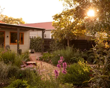 Sunlight softly filteres through a tree, casting the backyard of this cottage in a golden glow. The cottage garden features winding gravel and brick paths, two red outdoor chairs beside wild garden beds overflowing with foliage and colourful flowers.