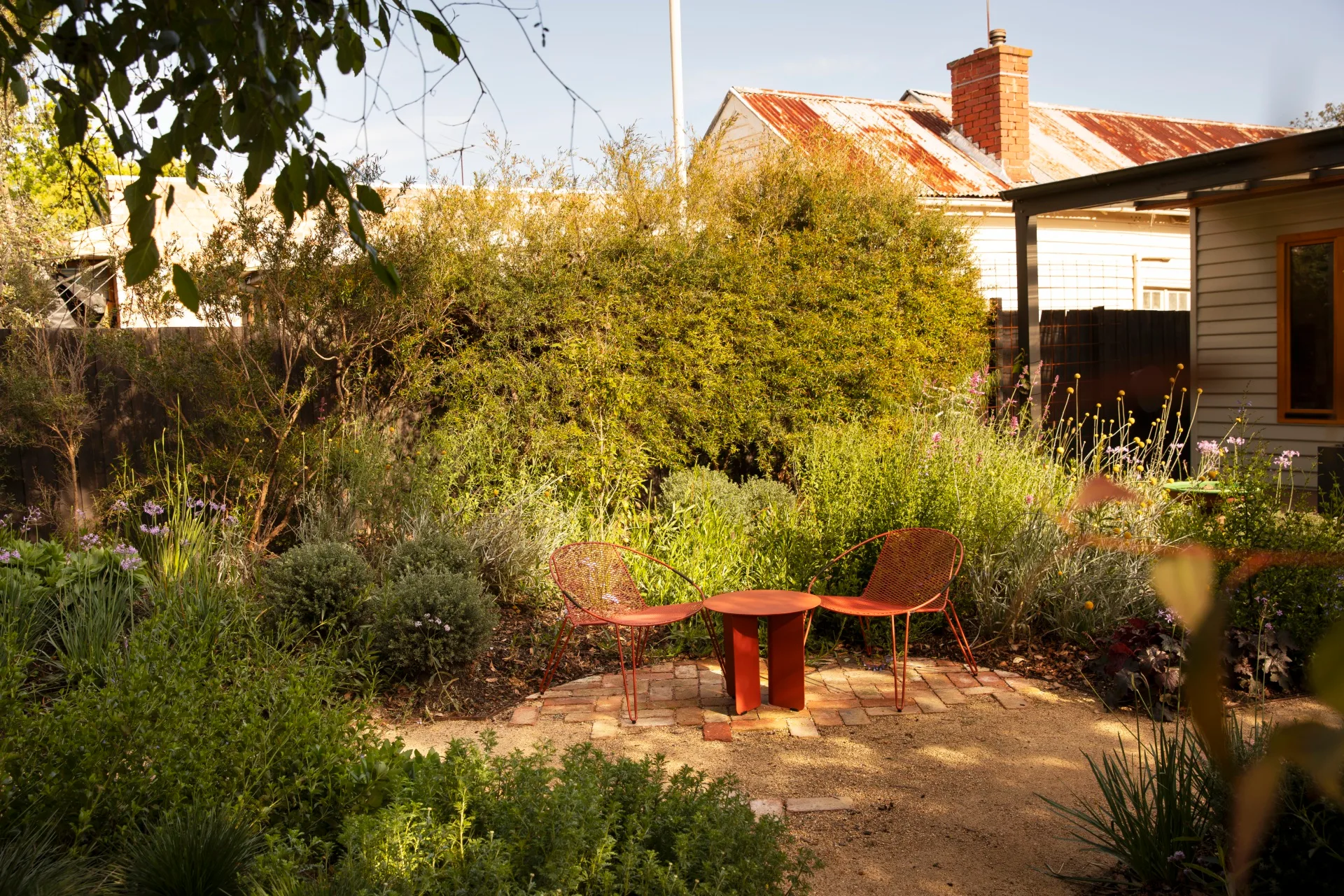 A cottage garden with red outdoor furniture positioned on a brick and gravel path. The path is beside garden beds filled with overflowing plants, trees and flowers. The corrugated iron roof of a neighbouring home is visible in the background.
