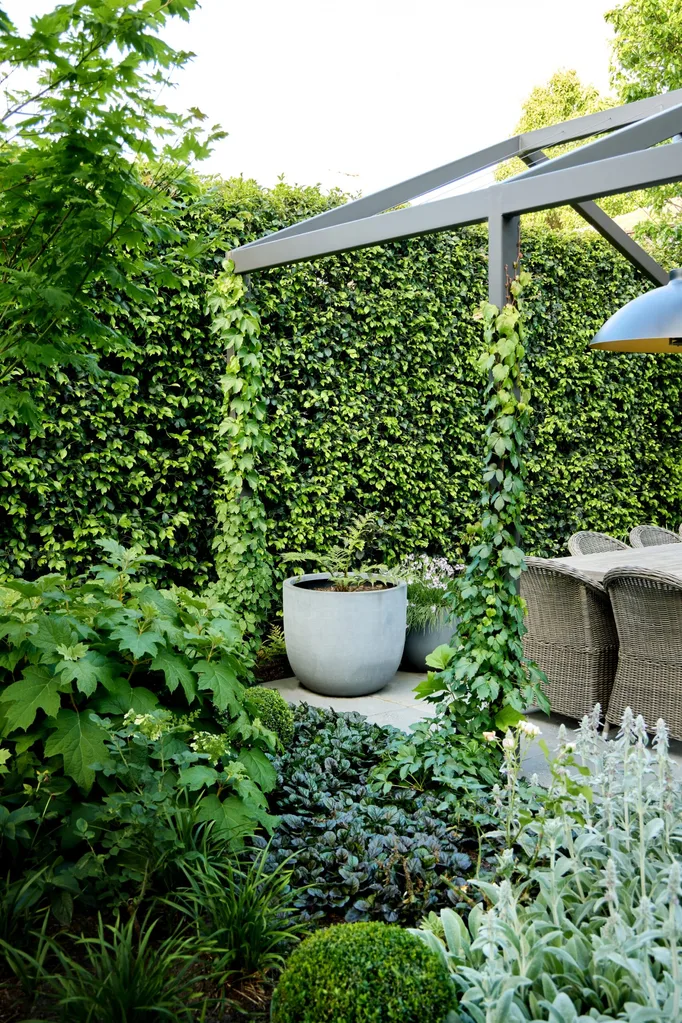 Boston ivy climbing the steel pergola beside lush garden beds and an outdoor dining area.