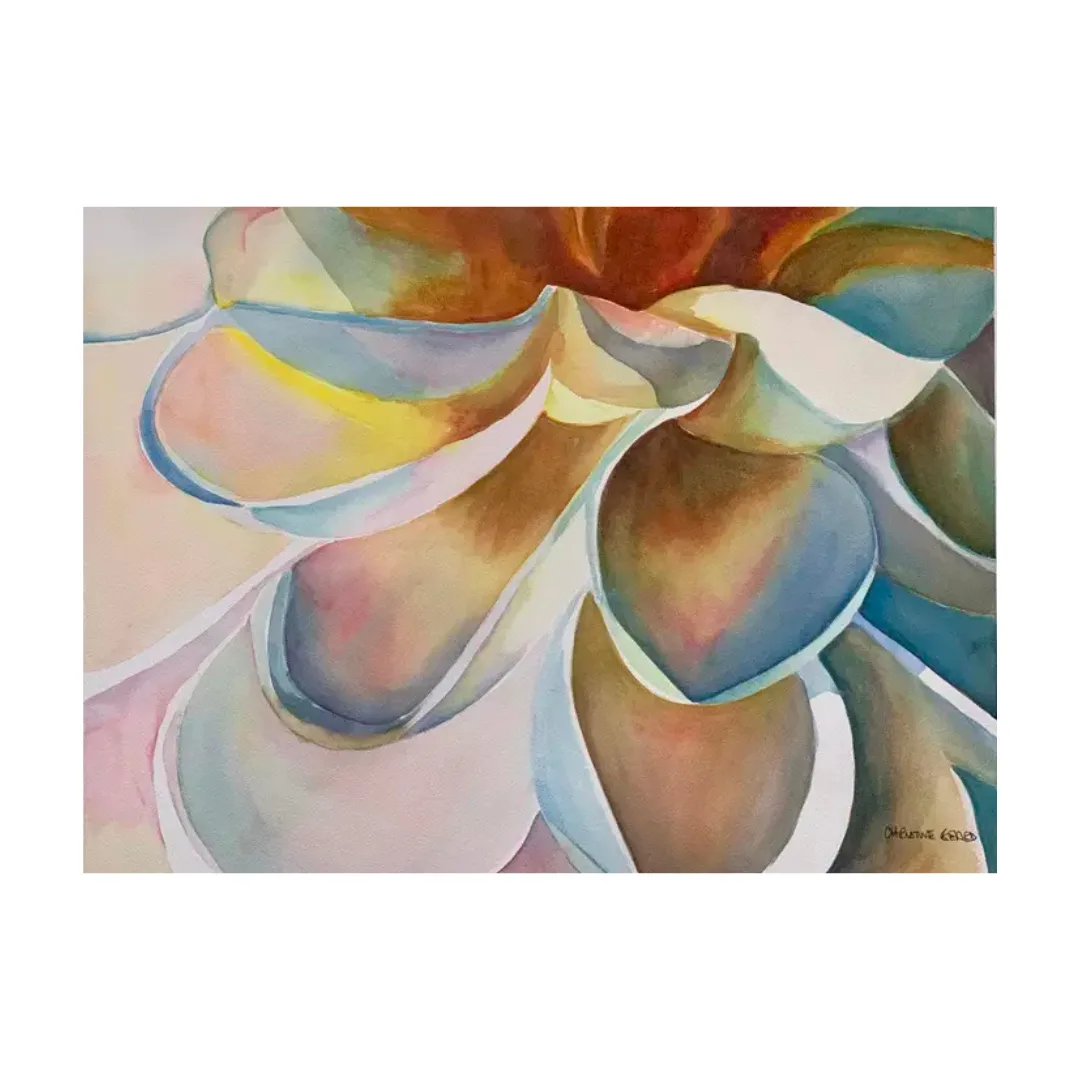 Abstract Dahlia by Christine Beard
watercolour on paper
