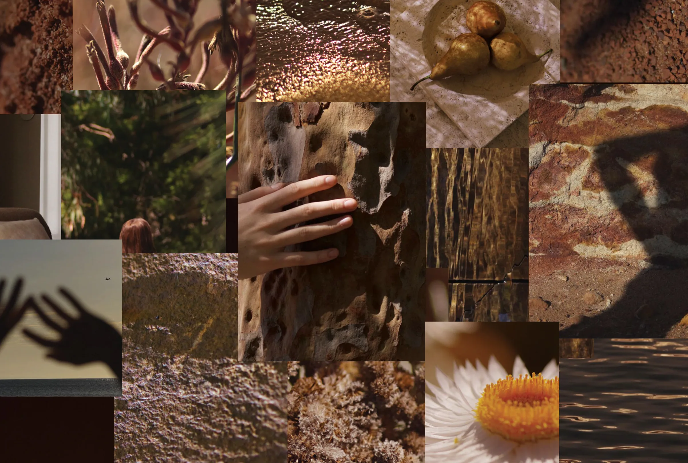 earthen textures and tones