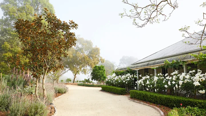 Pathway leads to a house surrounded by lush garden, white flowers, and trees under a misty sky. In front of the rural cottage, buxus frames a hedge of romantic white roses.