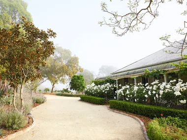 Pathway leads to a house surrounded by lush garden, white flowers, and trees under a misty sky. In front of the rural cottage, buxus frames a hedge of romantic white roses.