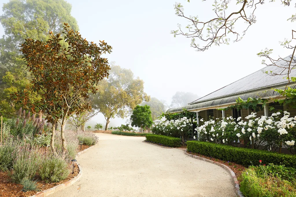 Pathway leads to a house surrounded by lush garden, white flowers, and trees under a misty sky. In front of the rural cottage, buxus frames a hedge of romantic white roses.