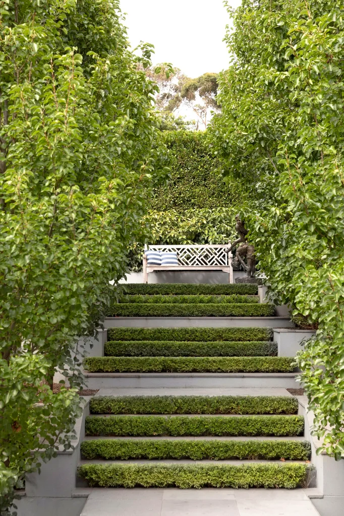 Stairs with manicured green hedges, flanked by trees, leading to a white bench in a lush garden setting.