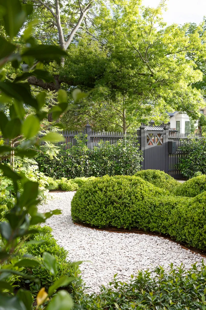 A lush garden with a white pebble path, manicured bushes, and a wooden fence under trees. The hedges are evergreen Buxus and are trimmed into an undulating, organic shape as opposed to a strict box shape.