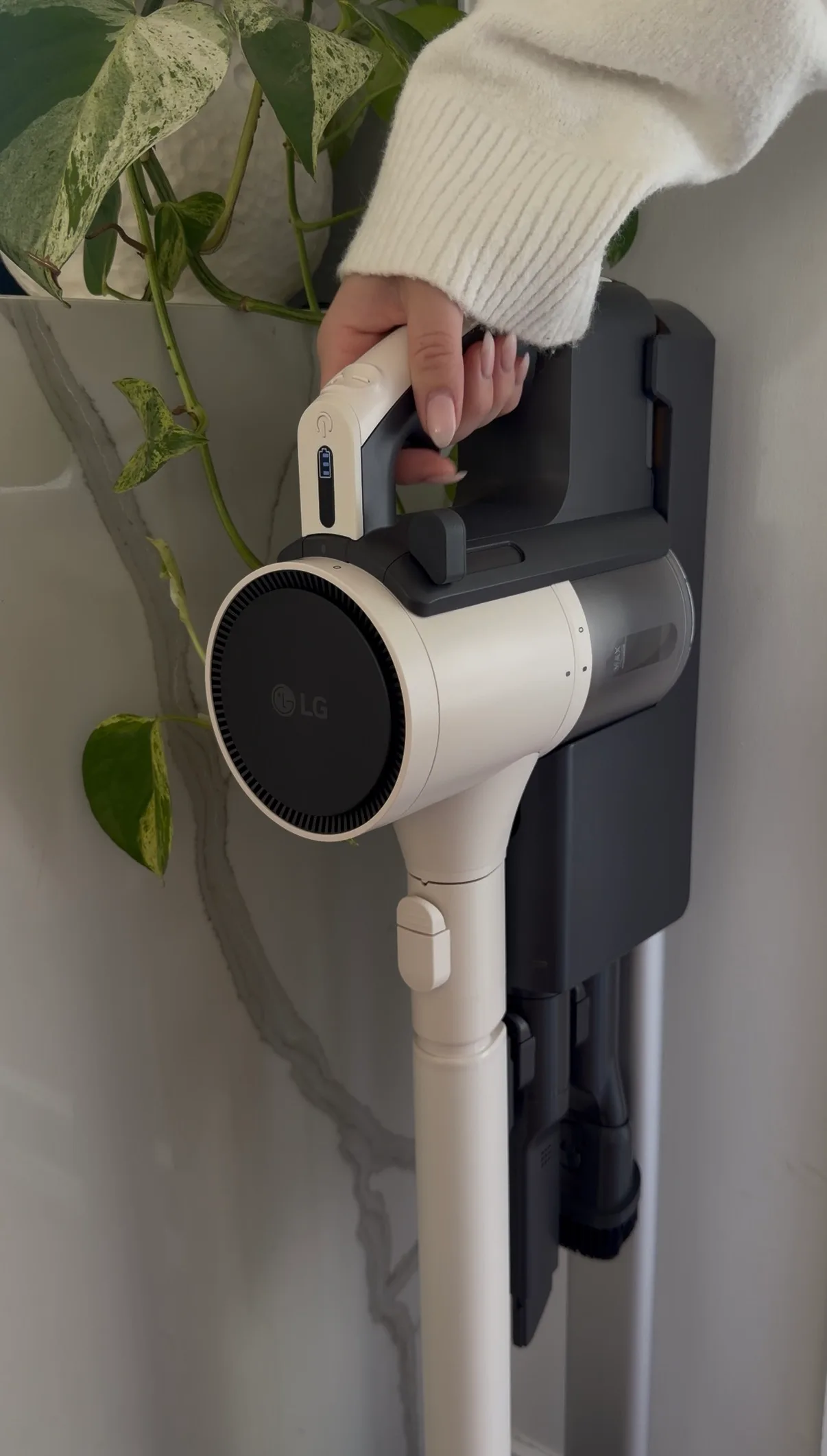 A person holding an LG cordless vacuum cleaner in front of a wall with a green plant.