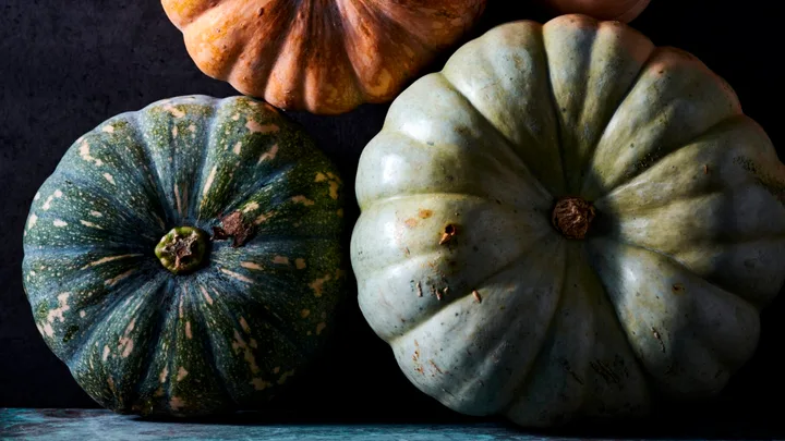 10 perfect pumpkin recipes to warm up your winter table