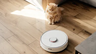 robot and cat robot vacuums for pet owners robot vacuums under 500