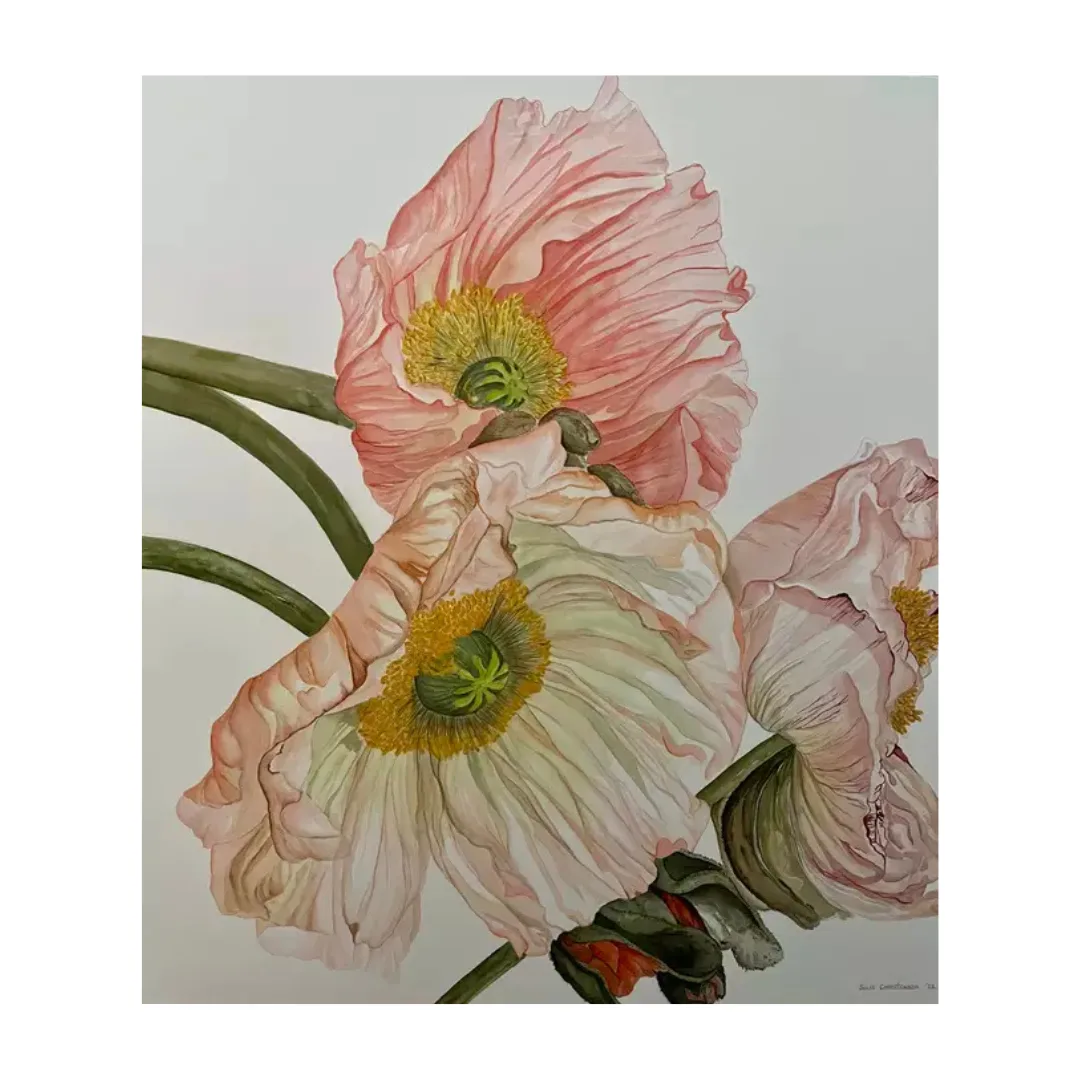 Unfurled by Julie Christensen
watercolour on paper
