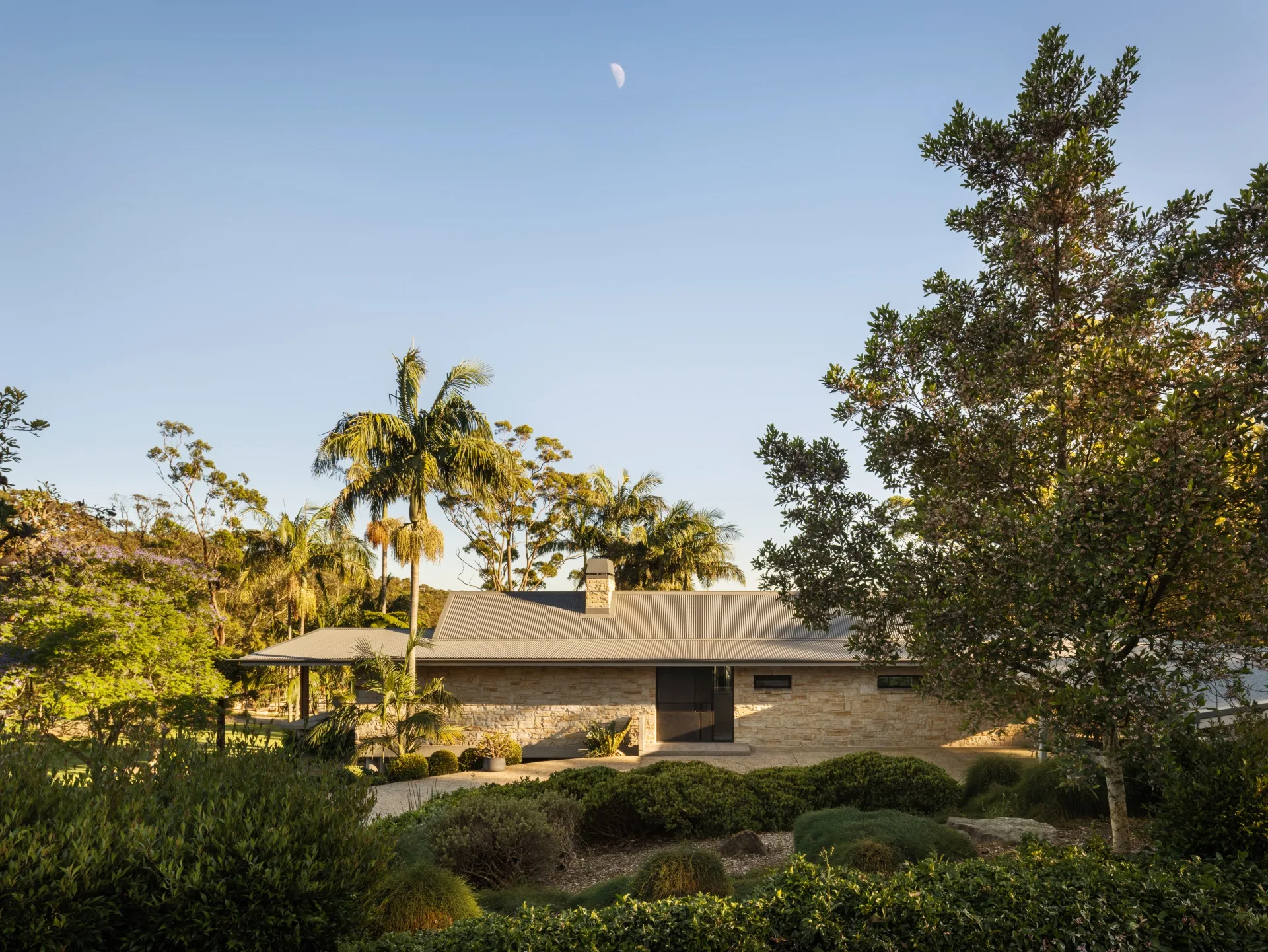 Single-story house with palm trees, surrounded by greenery under a clear sky with a visible moon.