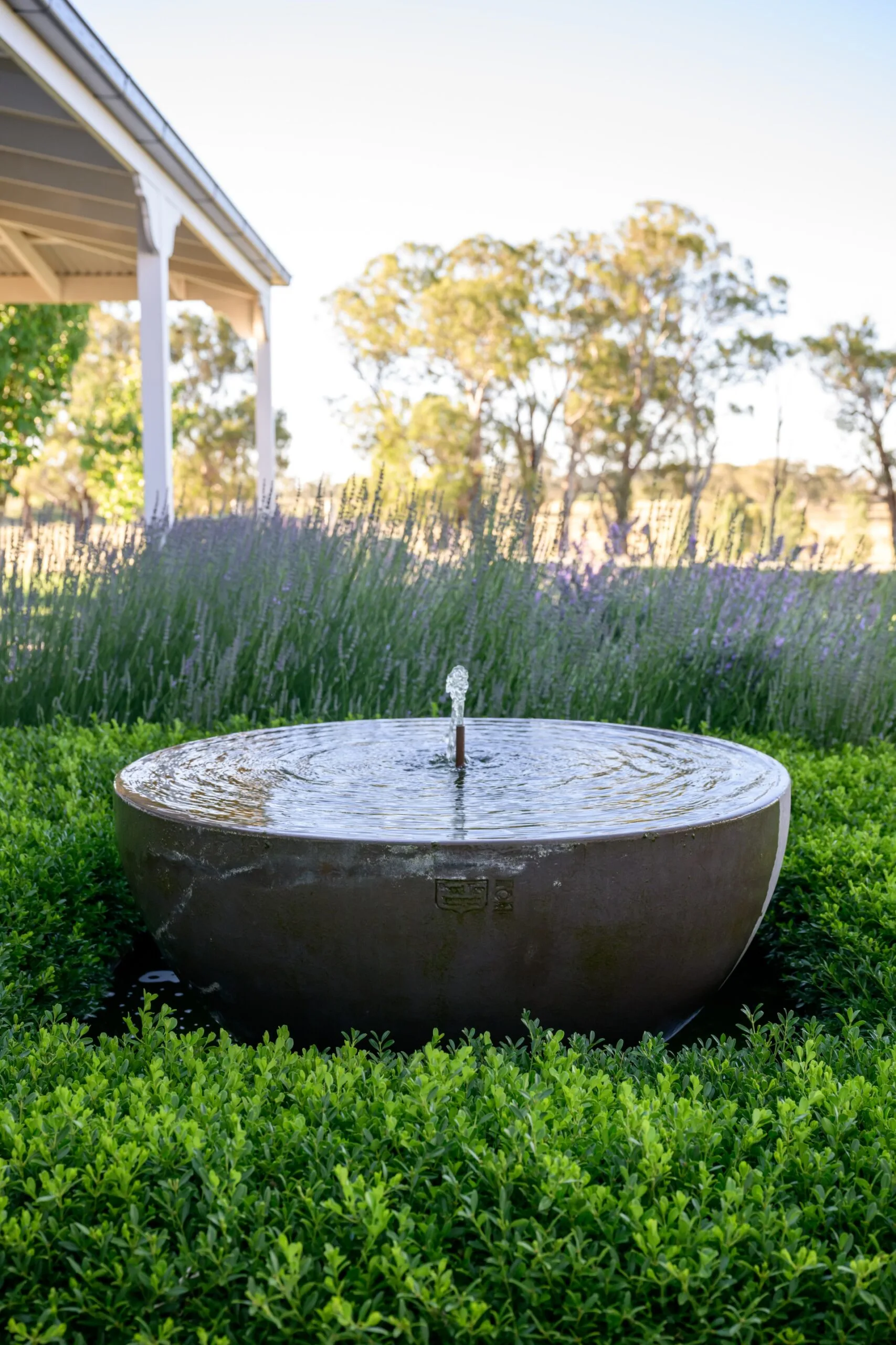 A small water feature set amongst plantings of lavender and boxwood hedging in an Australian garden.